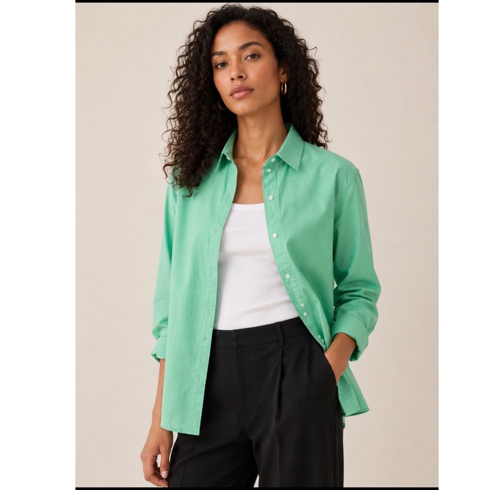 NWT Everlane Relaxed Poplin Shirt Women 4 Green Stripe Button Down Long Sleeve